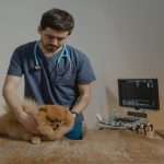 How to afford a veterinary care