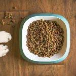 Best Affordable Grain-Free Dog Foods