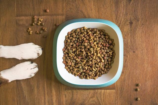 Best Affordable Grain-Free Dog Foods