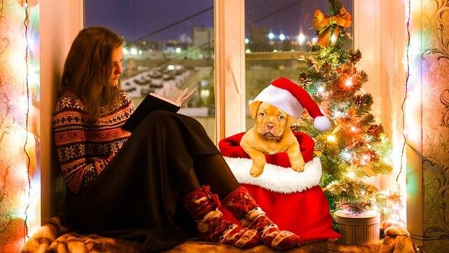 dog-friendly holiday celebrations