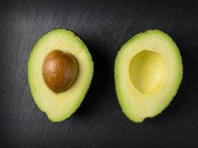 is avocado bad for dogs