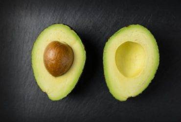 is avocado bad for dogs