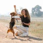 Step by step reactive dog training guide