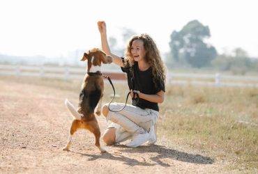 Step by step reactive dog training guide